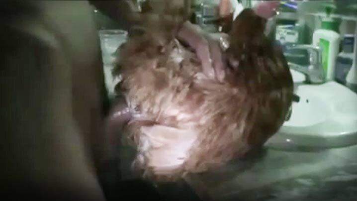 如果看到這臉蛋的話馬上通報！ 誰都能隨時隨地與美少女盡情無套抽插中出的新・通緝制度 沙月芽衣 MUDR172