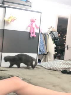 1.1K 14:25HD【兄妹乱伦】有恋妹情节，妹妹今年刚满十八，算是可爱型，我和傻妹妹从小关系就很好，我比妹妹年长六岁，我对妹妹的爱早就超过了亲情