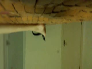 反差婊福利視頻1 Part E513