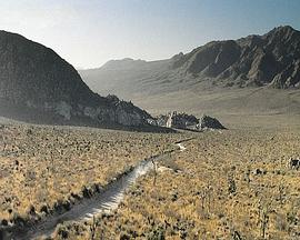 0 29:35HD【卡尔探花】今天花3000约了一个学生妹压腿各种姿势做得很舒服皮肤摸起来软软的