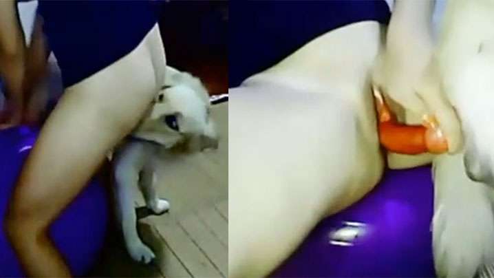 【文轩探花】不穿内裤的骚御姐 性格活泼在床上深喉口交给她干高潮。