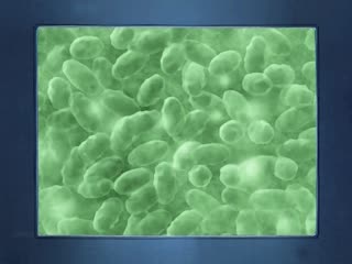 【1Pondo 111123_001】山岸るな极品身材大爆发！痴女诱惑让你欲罢不能 性感御姐の秘密服务实录