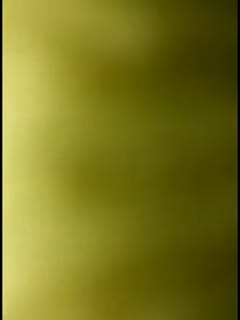 [亞洲無碼] 【77】大方露脸高颜值御姐少女SKLyolo女神 最新，170cm高挑大长腿 黑丝筷子美腿 大眼漂亮女神，金主大佬爆插白虎